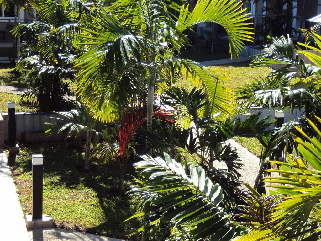 Hotel Colibri Koné 外观 照片